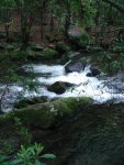 low river.JPG low river.JPG
