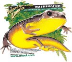 UhaulNewt.JPG