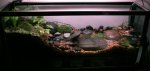 vivarium.jpg