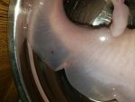 20190705_184525.jpg