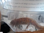 20190825_155012.jpg