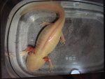 IMG_1044.JPG