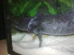 16062009_002.jpg