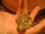 DSC02714.JPG