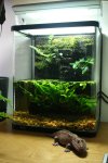 aquatank.jpg