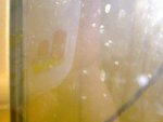 06022010492.jpg