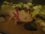 DSC02048.jpg