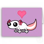 cartoon on axolotl.jpg