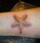 starfish.jpg