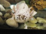 IMG_8887_2.jpg