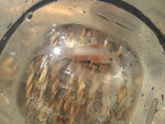 20200518_225117.jpg