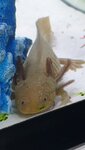 Larry 1.jpg