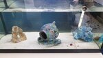Tank.jpg