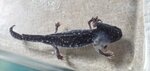 20200530_080429.jpg
