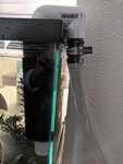 IMG_20200712_122949.jpg