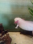 20200717_142143.jpg