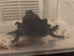 IMG_5507.jpeg