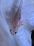 IMG_20200818_122017.jpg