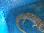20201004_212634.jpg