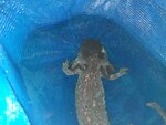 20201004_212442.jpg