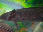 20201003_202136.jpg