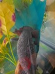 20201003_191254.jpg