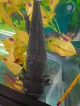 20200929_200345.jpg