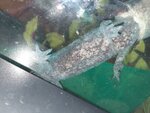 20200925_205806.jpg