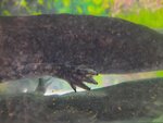 20201008_192225.jpg