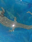 20201008_192836.jpg