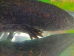 20201008_192050.jpg
