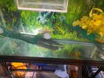 20201008_201356.jpg