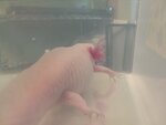 20201014_151150.jpg