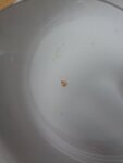 20201021_204210.jpg