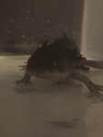 9251B636-4FA2-44BF-A4CA-5D8796EA4542.jpeg