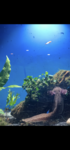 FB5E00D2-1A87-44D9-AE91-59AE3E0E28C4.png
