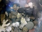 20201106_213928.jpg