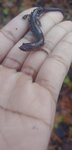 20201127_084530.jpg