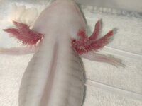 IMG_20201218_005341.jpg