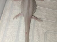IMG_20201218_005326.jpg