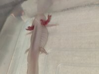 IMG_20201218_005309.jpg