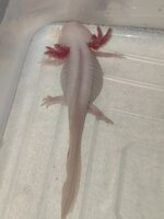 IMG_20201218_005255.jpg