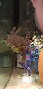 20201221_224352.jpg