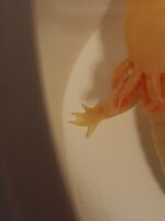 20210101_031652.jpg
