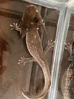 IMG_8832.jpg