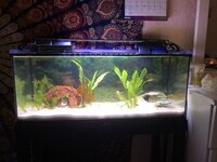 image_50421505.JPG