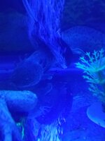20200602_183638.jpg