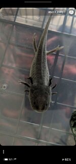 DE1D0B5D-545B-49F7-B7AF-FEB19B876A00.jpeg DE1D0B5D-545B-49F7-B7AF-FEB19B876A00.jpeg