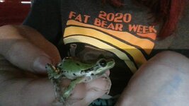 Froggo.jpg