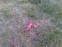 IMG_20210429_155632.jpg